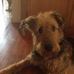 Meet your Posher, Michele